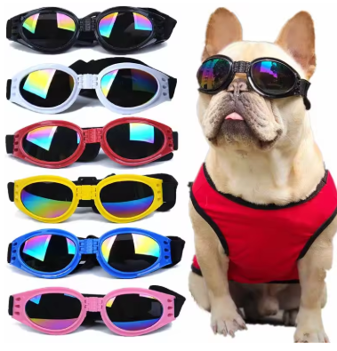 Sports Goggles for Dogs – UV & Wind Protection